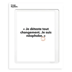 Affiche Loic Prigent Je Deteste Tout - 30 X 40 Cm
