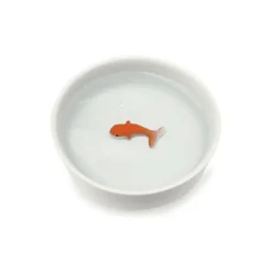 Bol Poisson Rouge Pour Chat