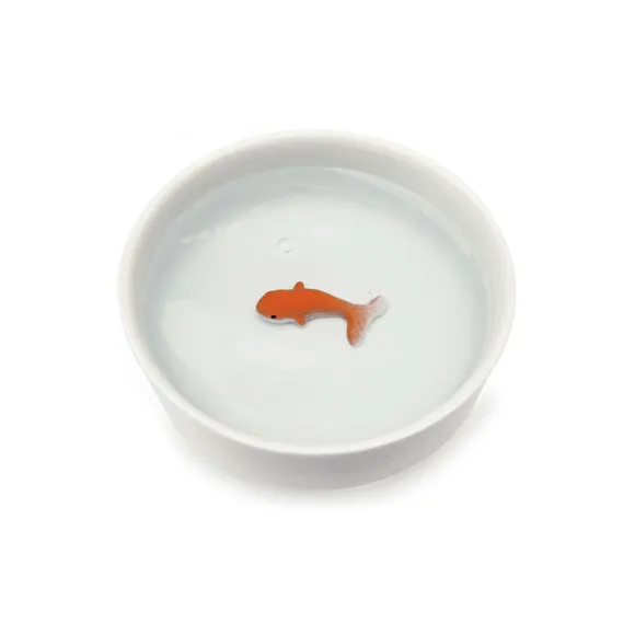 Bol Poisson Rouge Pour Chat