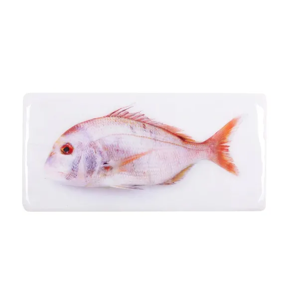 Décoration Murale Daurade Rose - 40 X 20 Cm