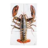 Décoration Murale Homard Sur Glace / Fond Blanc - 40 X 60 Cm