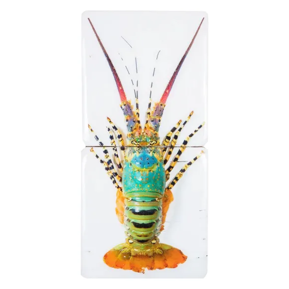 Décoration Murale Jual Homard Laut 2 - 20 X 40 Cm