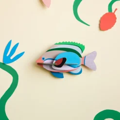 Décoration Murale Poisson Fairy Wrasse
