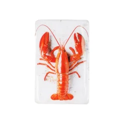 Décoration Murale Twin Homard Rouge #1 Sur Fond Blanc - 20 Cm X 29 Cm
