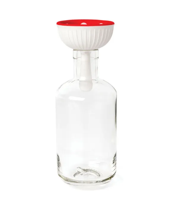 Entonnoir Champignon Magique