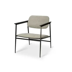 Fauteuil Dc Gris Clair