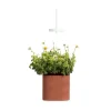 Jardin D'Interieur Connecte Nano Garden - Terracotta