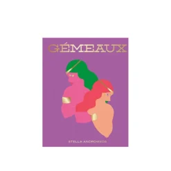 Livre Astrologie Signe Gemeaux