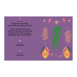 Livre Astrologie Signe Gemeaux