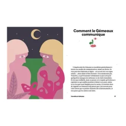 Livre Astrologie Signe Gemeaux