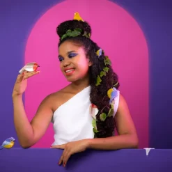 Pince A Cheveux - Mesange