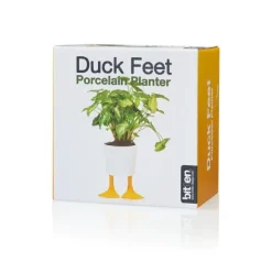 Pot / Jardiniere Pieds Canards - Jaune & Blanc