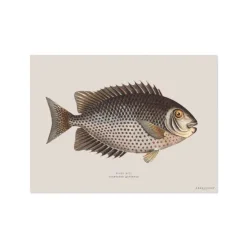 Set De Table Rectangle Poisson Chirala - 33 X 45 Cm