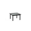 Table Basse Kofi Chene Massif Noir & Verre Teinte Gris - L 60 X L 60 X H 36 Cm